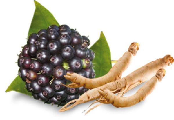 Sugar Defender Ingredient: Eleuthero (Eleutherococcus senticosus) Root Extract