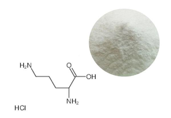 Sugar Defender Ingredient: L-Ornithine HCl