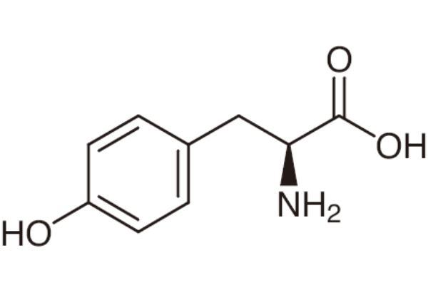 Sugar Defender Ingredient: L-Tyrosine