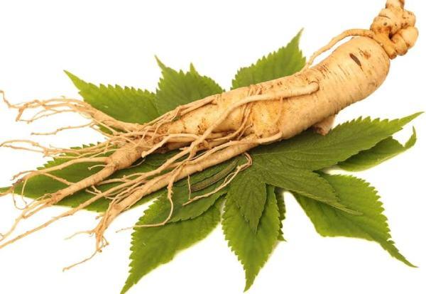 Sugar Defender Ingredient: Panax Ginseng Root Extract